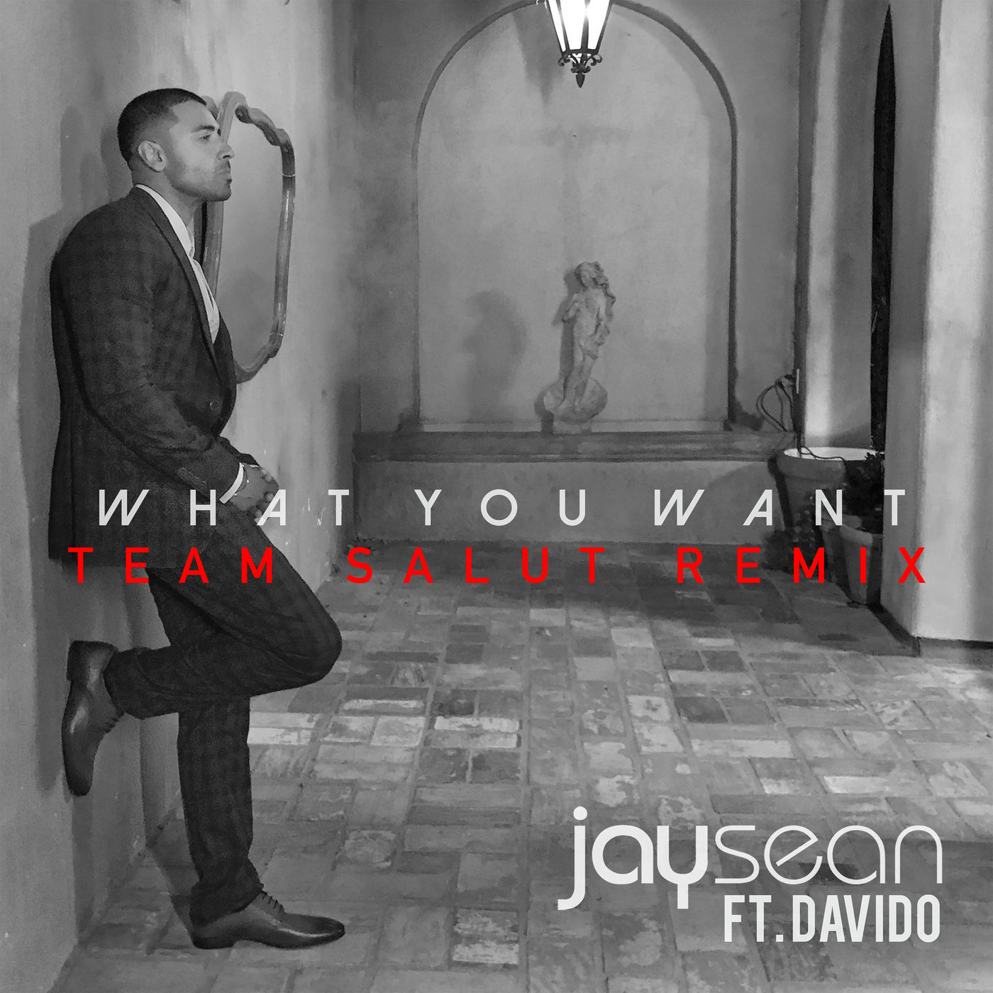 Jay Sean – What You Want (Team Salut Remix)【44.1kHz／16bit】美国区-OppsUpro音乐帝国