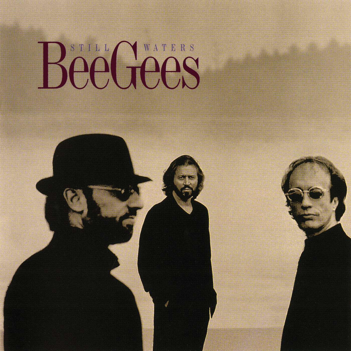 Bee Gees – Still Waters【44.1kHz／16bit】西班牙区-OppsUpro音乐帝国