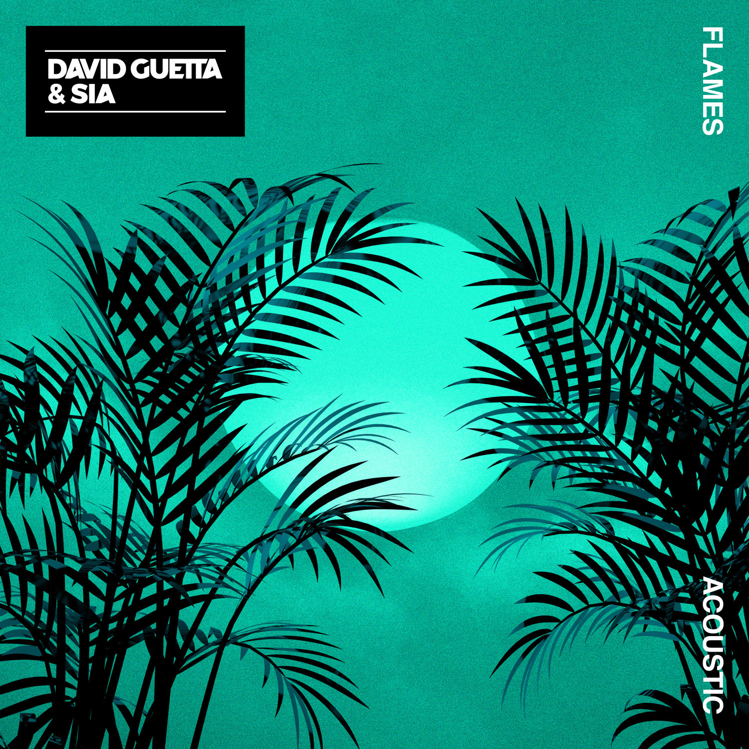 David Guetta – Flames (Acoustic)【44.1kHz／24bit】德国区-OppsUpro音乐帝国