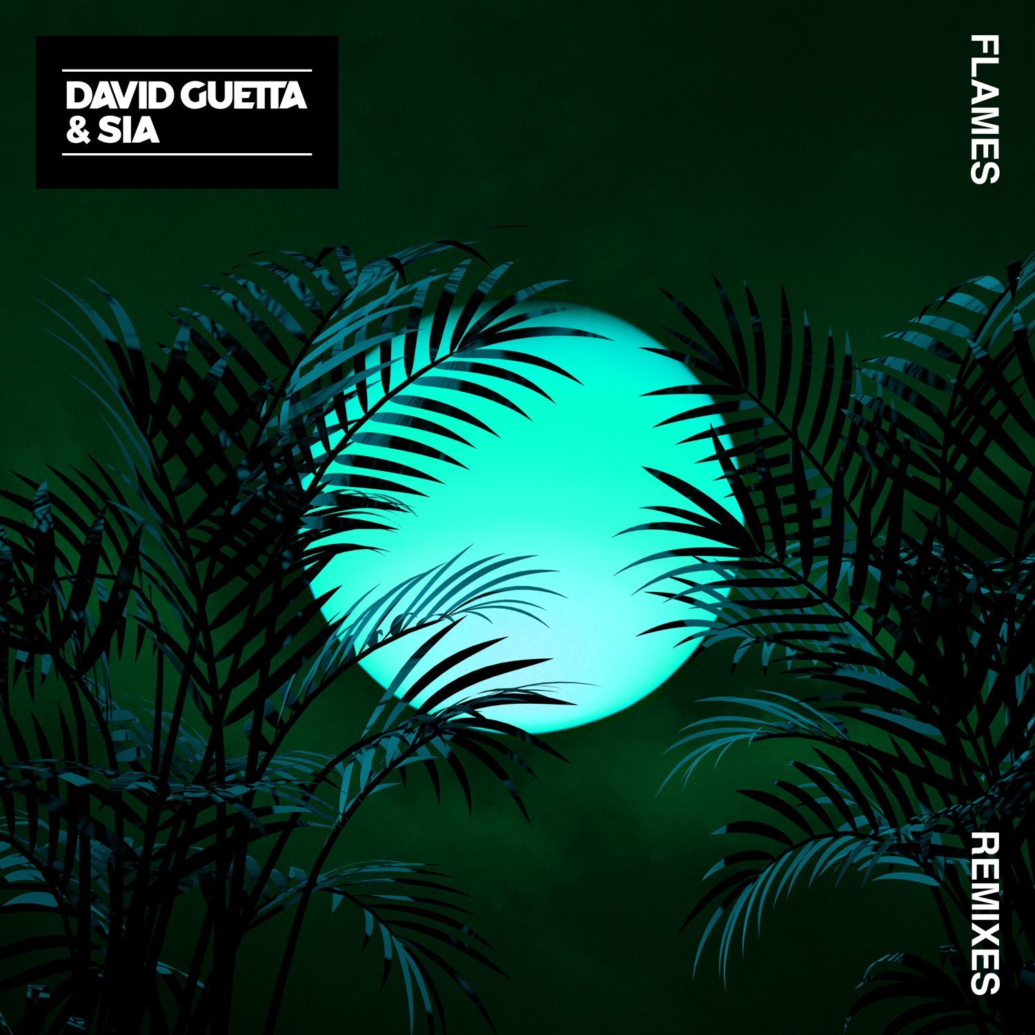 David Guetta – Flames (Remixes 2)【44.1kHz／16bit】德国区-OppsUpro音乐帝国